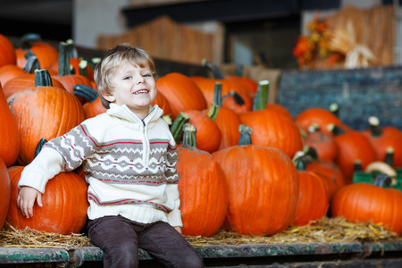 Little boy sitting on big tractor full with pumpkins on pumpkin patch on farmの写真素材
