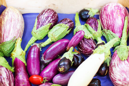 Fresh eggplants, aubergine vegetables on street market in Provence, Franceの写真素材