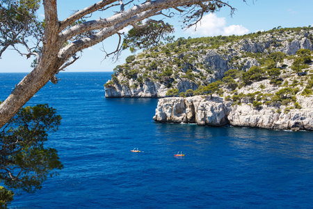Landscape view on calanques of Port Pin in Cassis near Marseille, Provence, France.