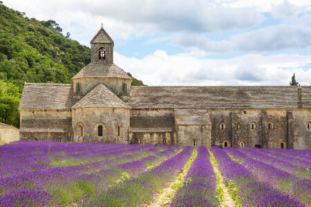 Abbey of Senanque and blooming rows lavender flowers. Gordes, Luberon, Vaucluse, Provence, France, Europe.のeditorial素材