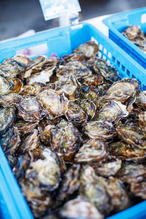 fresh oysters on mediterranean street market. Organic local seafoodの写真素材