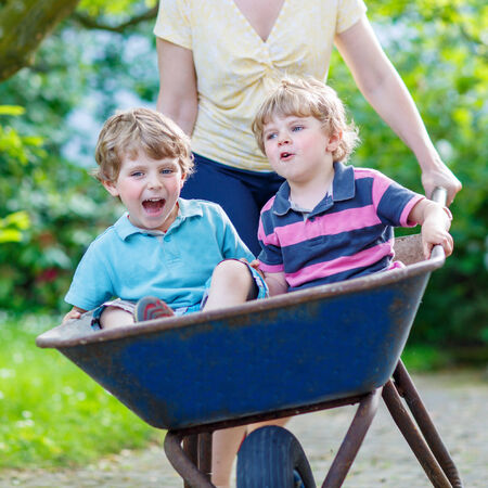 Two little boys having fun in a wheelbarrow pushing by mother  in domestic garden, on warm sunny day. Active outdoors games for kids in summer.の写真素材