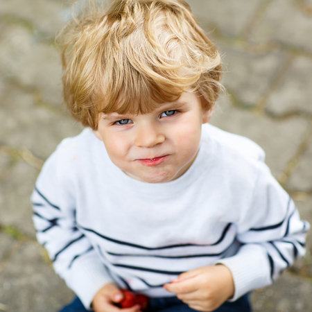 Funny little kid boy eating fresh organic strawberries in domestic garden, on warm summer sunny day.の写真素材