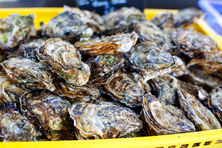 fresh oysters on mediterranean fish market. Organic local seafood in Arles, Provence, France.の写真素材