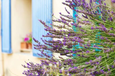 Provencal street with typical houses and lavender in southern France, Provenceの写真素材