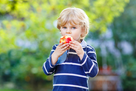 Beautiful little kid boy with apple on his first day to elementary school or nursery. Outdoors.  Back to school, kids, lifestyle concept. Child eating healthy foodの写真素材