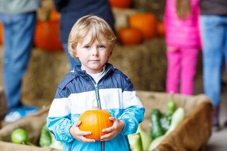 Adorable blond kid boy holding orange pumpkin on halloween or thanksgiving harvest festival or patch, outdoorsの写真素材