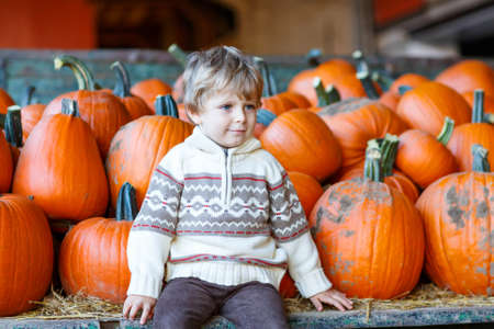 Adorable blond kid boy sitting with big pumpkins on patch farm, outdoors. Child having fun on sunny warm october day. Family celebrating thanksgiving or halloween.の写真素材