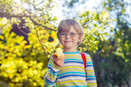 Happy little kid boy with glasses, books, apple and backpack on his first day to school or nursery....