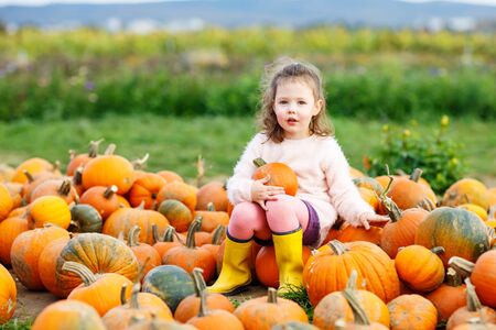 Beautiful little kid girl having fun with farming on organic pumpkin patch. Traditional family festival with children, thanksgiving and halloween concept. Cute farmer.の写真素材