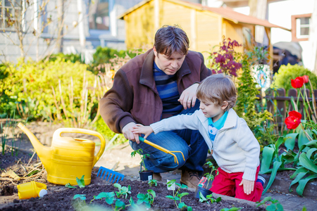 Young father and his little adorable son planting seeds and seedlings in vegetable garden, outdoors. Happy family of two: Man and son having fun with gardening in spring.の写真素材