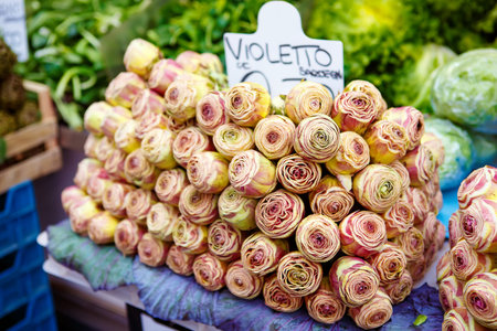Pile of green and purple Italian Artichokes at the farmers marketの写真素材