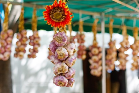 French garlic display in market in south of France, Arles, Provence. Local organic food.の写真素材