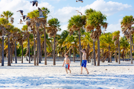 Two little kids boys having fun on tropical beach, happy best friends playing with birds, friendship concept. Siblings brothes in swim trousers. Key Biscayne, Miami, Florida.の写真素材