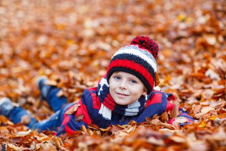 Portrait of happy cute little kid boy with autumn leaves background in colorful clothing. Funny child having fun in fall forest or park on cold day. With hat and scarfの写真素材