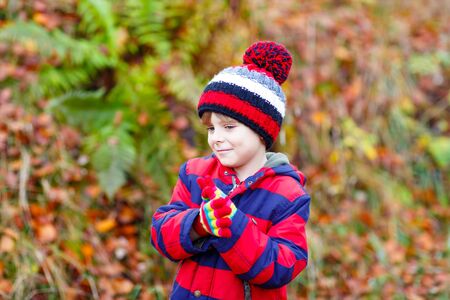 Portrait of happy cute little kid boy with autumn leaves background in colorful clothing. Funny child having fun in fall forest or park on cold day. With hat and glovesの写真素材