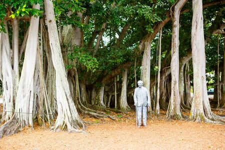 FORT MYERS,FL-APRIL  15 2016: Fort Myers Florida, Thomas Edison statue near big banyan tree outside of his summer home and laboratory in Fort Myers, USA.のeditorial素材