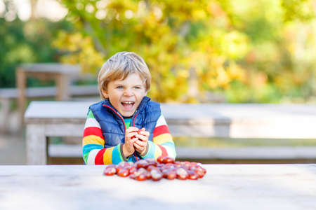 Funny little kid boy of 3 years playing with chestnuts in autumn park. Child having fun on cold fall sunny day. Happy childhood and outdoor leisure concept. With yellow foliage on backgroundの写真素材