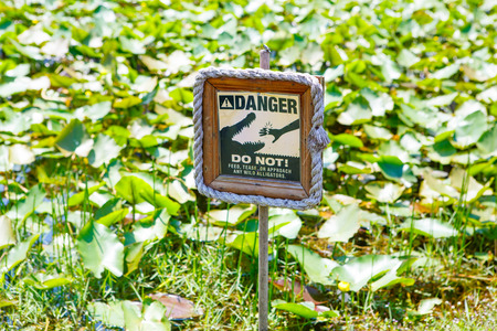 Caution warning sign. Do not feed alligators. On alligator farm in Florida Everglades National park, USA warning visitors not to feed animalsの写真素材