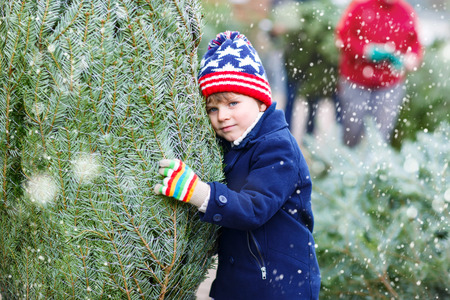 Cute little smiling kid boy holding christmas tree. Happy child in winter clothes, hat, gloves choosing xmas tree in outdoor shop. Family, tradition, celebration conceptの写真素材