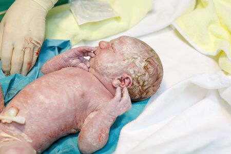 Newborn child seconds and minutes after birth.の写真素材