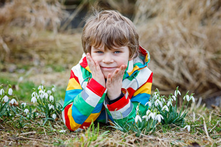 Cute blond preschool kid boy discovering first spring flowers, beautiful snowdropsの写真素材