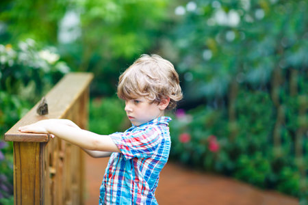 Little blond preschool kid boy discovering flowers and butterflies at botanic gardenの写真素材