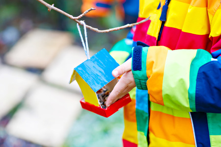 Little kid hanging bird house on tree for feeding in winterの写真素材