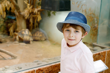 Little kid boy admire big turtles in terrariumの写真素材