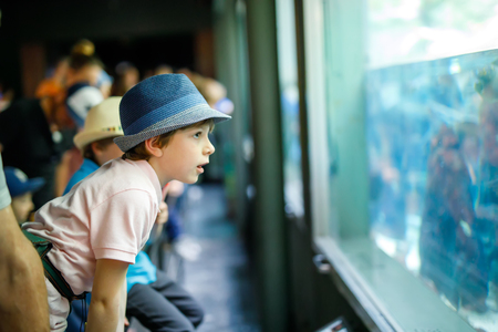 Little kid boy admire different reptiles and fishes in aquariumの写真素材