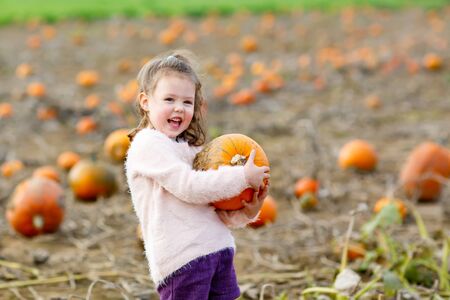 Adorable little kid girl having fun on pumpkin patch.の写真素材