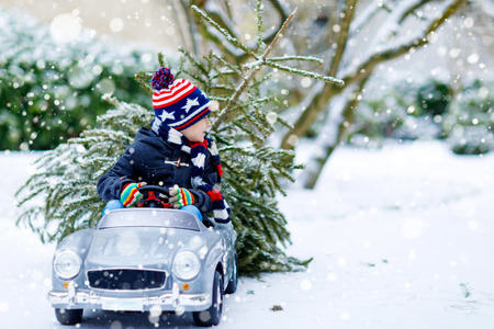 Funny little smiling kid boy driving toy car with Christmas tree. Happy child in winter fashion clothes bringing hewed xmas tree from snowy forest. Family, tradition, holidayの写真素材