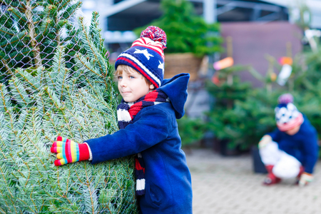two little kid boys buying christmas tree in outdoor shopの写真素材