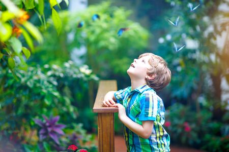 Little blond preschool kid boy discovering plants, flowers and butterflies at botanic gardenの写真素材