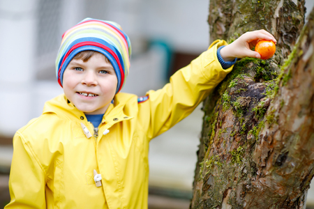 Cute adorable little kid boy making an egg hunt on Easter.の写真素材