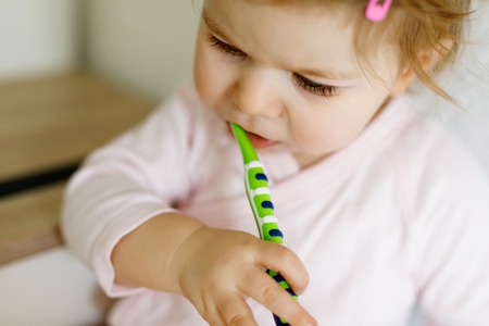 Little baby girl holding toothbrush and brushing first teeth. Toddler learning to clean milk tooth.の写真素材