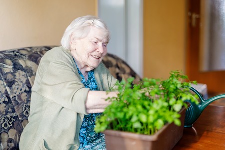 Senior woman of 90 years watering parsley plants with water can at homeの写真素材