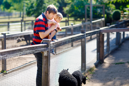 Adorable cute toddler girl and young father feeding little goats and sheeps on a kids farm. Beautiful baby child petting animals in the zoo. man and daughter togetherの写真素材