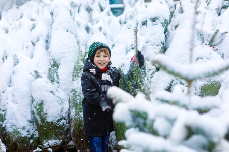beautiful smiling little boy holding christmas treeの写真素材