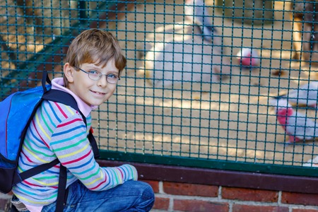 Little kid boy with glasses and backpack admire different birds like parrot in zoo park. Happy school child watching and observing animals and reptiles. Family leisure with kids or school tripの写真素材