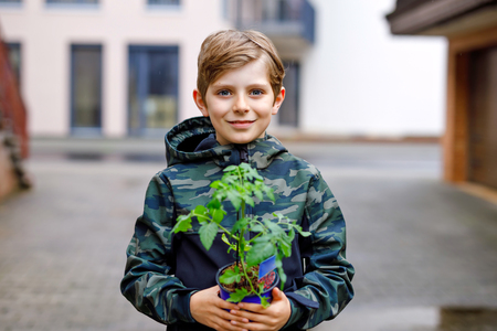 Cute school kid blond boy planting seeds and seedlings of tomatoes in vegetable garden. Schoolkid making ecology project at school. Happy child on cold spring day.の写真素材