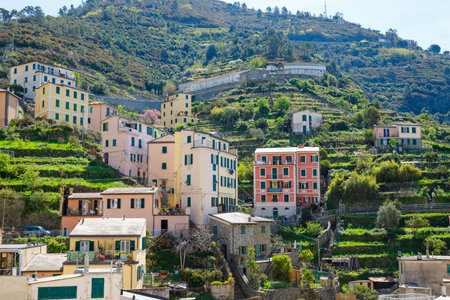 Riomaggiore, Liguria, Italy fisherman village, colorful houses on sunny warm day. Monterosso al...