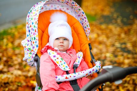 Cute little beautiful baby girl sitting in the pram or stroller on autumn day. Happy healthy child going for a walk on fresh air in warm clothes. Baby with yellow fall maple trees in colorful clothesの写真素材