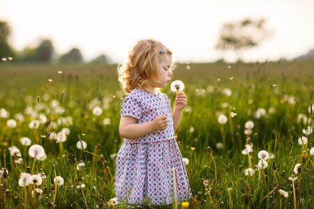 Adorable cute little baby girl blowing on a dandelion flower on the nature in the summer. Happy healthy beautiful toddler child with blowball, having fun. Bright sunset light, active kid.の写真素材
