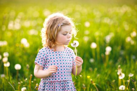 Adorable cute little baby girl blowing on a dandelion flower on the nature in the summer. Happy healthy beautiful toddler child with blowball, having fun. Bright sunset light, active kid.の写真素材