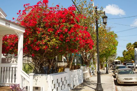 KEY WEST, FLORIDA USA - APRIL 13, 2016: The historic and popular center and Duval Street in downtown Key West. Beautiful small town in Florida, United States of Americaのeditorial素材