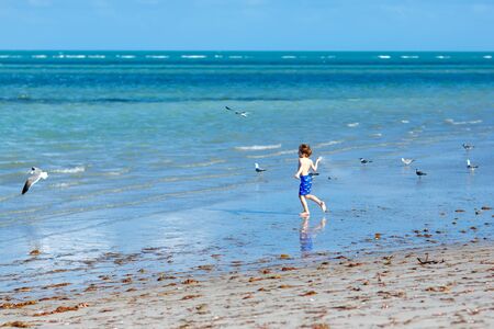 Active little kid boy having fun on Miami beach, Key Biscayne. Happy cute child running near ocean on warm sunny day. Healthy kid in swim trousers hunting seagull birdsの写真素材