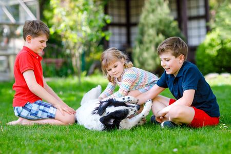 Two kids boys and little toddler girl playing with family dog in garden. Three children, adorable siblings having fun with dog. Happy family outdoors. Friendship between animal and kidsの写真素材