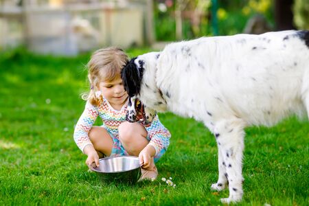 Cute little toddler girl playing with family dog in garden. Happy smiling child having fun with dog, hugging playing with ball. Happy family outdoors. Friendship between animal and kidsの写真素材