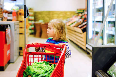 Cute todler girl pushing shopping cart in supermarket. Little child buying fruits. Kid grocery shopping. Adorable baby kid with trolley choosing fresh vegetables in local store.の写真素材